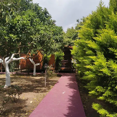 民宿 Sahil Pansiyon Bungalow *