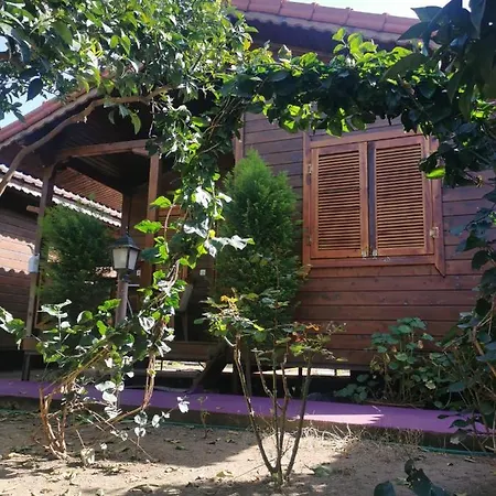 Sahil Pansiyon Bungalow * 安塔利亚