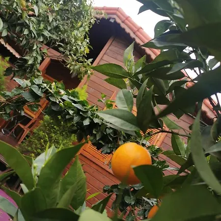Sahil Pansiyon Bungalow 安塔利亚