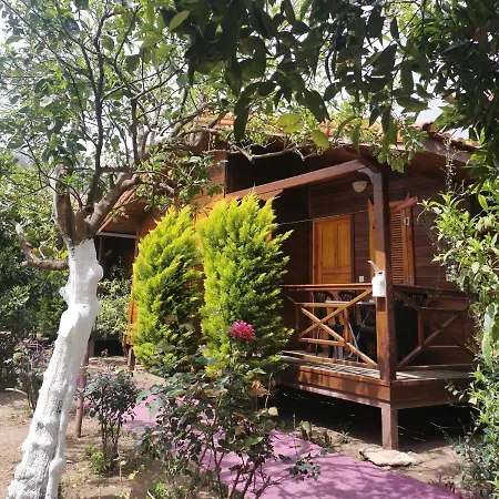 民宿 Sahil Pansiyon Bungalow