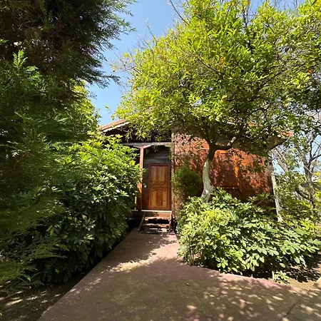 Sahil Pansiyon Bungalow 安塔利亚