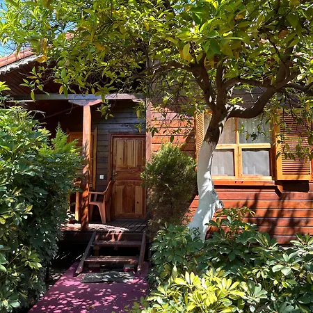 民宿 Sahil Pansiyon Bungalow *