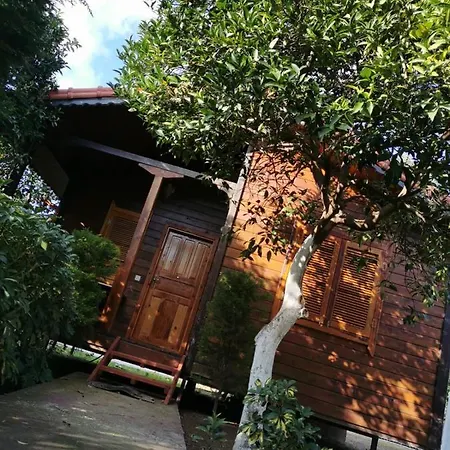 Sahil Pansiyon Bungalow * 安塔利亚
